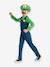 Luigi Fancy Dress Verkleedkleding DISGUISE groen - vertbaudet enfant 