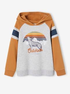 Jongens-Trui, vest, sweater-Sweater-Jongenssweater met capuchon, grafisch motief en raglanmouwen