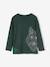Jongensshirt met grappig dierenmotief dennen+petrolblauw+wit - vertbaudet enfant 