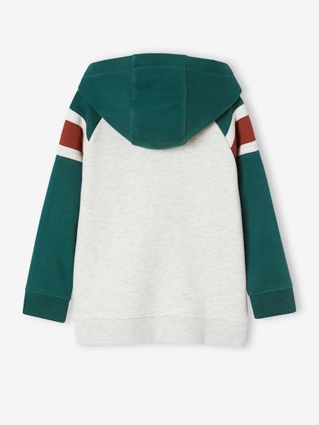 Jongenssweater met capuchon, grafisch motief en raglanmouwen Engels groen+nachtblauw+pecannoot - vertbaudet enfant 