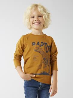 Jongens-T-shirt, poloshirt, souspull-Basics T-shirt met lange mouwen voor jongens met een speels of grafisch motief