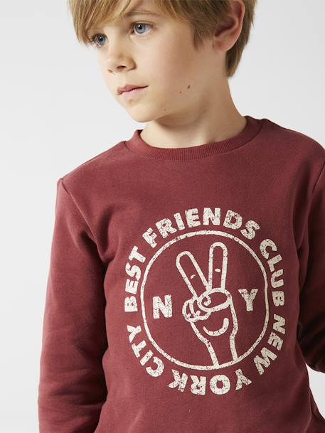 Jongenssweater Basics met grafische motieven bordeauxrood+gemêleerd wit+groen+nachtblauw+pecannoot - vertbaudet enfant 