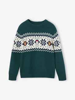 Jongens-Trui, vest, sweater-Trui-Kersttrui in jacquard voor kinderen, capsule familiecollectie