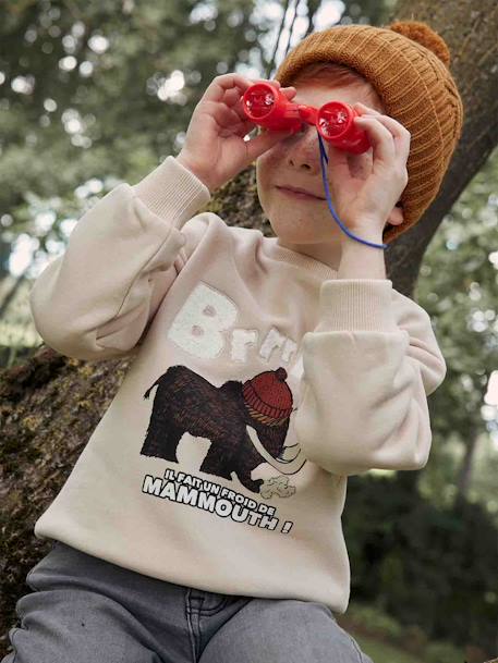 Jongenssweater met mammoetprint en badstof details beige - vertbaudet enfant 