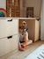 Kidytalk - Oplaadbare Walkie Talkie - KIDYWOLF blauw+groen+nude - vertbaudet enfant 