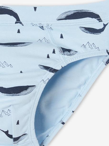 Set met 7 stretch jongensslips walvissen van biokatoen hemelsblauw - vertbaudet enfant 