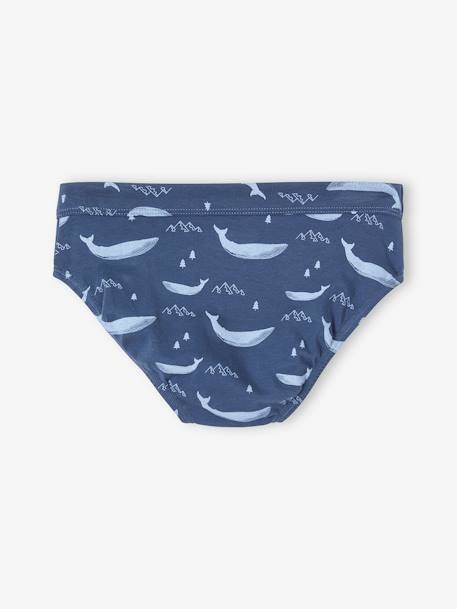 Set met 7 stretch jongensslips walvissen van biokatoen hemelsblauw - vertbaudet enfant 