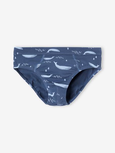 Set met 7 stretch jongensslips walvissen van biokatoen hemelsblauw - vertbaudet enfant 
