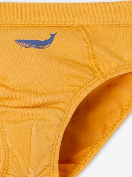 Set met 7 stretch jongensslips walvissen van biokatoen hemelsblauw - vertbaudet enfant 