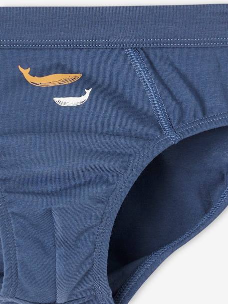 Set met 7 stretch jongensslips walvissen van biokatoen hemelsblauw - vertbaudet enfant 
