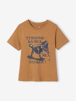 Jongens-T-shirt, poloshirt, souspull-Jongensshirt met dinomotief