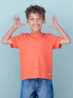 Jongens-Personaliseerbare gekleurd jongensshirt met korte mouwen