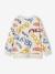 Jongensshirt in sweaterlook met print ecru+gemêleerd wit+pecannoot - vertbaudet enfant 