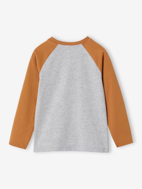 Oeko-Tex® grafisch jongens-T-shirt met raglanmouwen gemêleerd wit+kaki+korstmos+pecannoot - vertbaudet enfant 