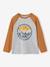 Oeko-Tex® grafisch jongens-T-shirt met raglanmouwen gemêleerd wit+kaki+korstmos+pecannoot - vertbaudet enfant 