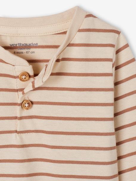 Set van 3 T-shirts Basics van biokatoen baby pecannoot+terracotta - vertbaudet enfant 
