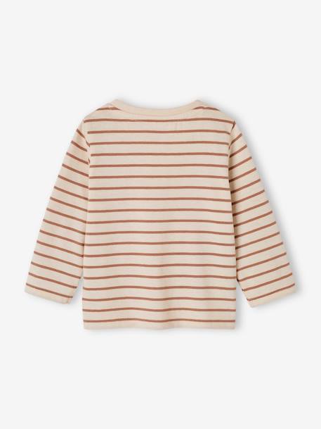 Set van 3 T-shirts Basics van biokatoen baby pecannoot+terracotta - vertbaudet enfant 