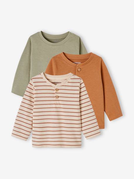 Set van 3 T-shirts Basics van biokatoen baby pecannoot+terracotta - vertbaudet enfant 