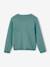 Meisjesvest Basics van fijn breisel antraciet+gemêleerd beige+grijsblauw+marineblauw+pruim+rozenhout+smaragdgroen+vanille - vertbaudet enfant 