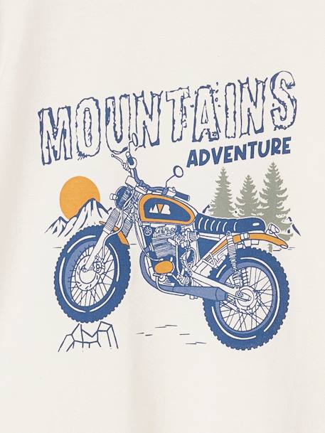 Jongens-T-shirt met ludiek patroon ecru+gemêleerd grijs+leigrijs - vertbaudet enfant 