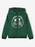 Ritssweater mt capuchon sport BASICS jongens 6400+antraciet+dennen - vertbaudet enfant 