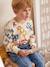 Jongensshirt in sweaterlook met print ecru+gemêleerd wit+pecannoot - vertbaudet enfant 