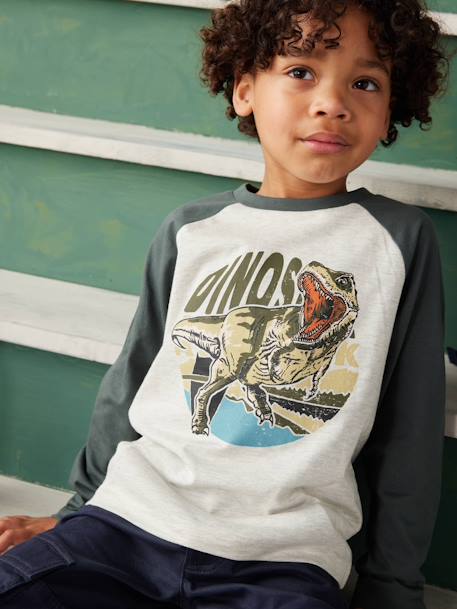 Oeko-Tex® grafisch jongens-T-shirt met raglanmouwen gemêleerd wit+kaki+korstmos+pecannoot - vertbaudet enfant 
