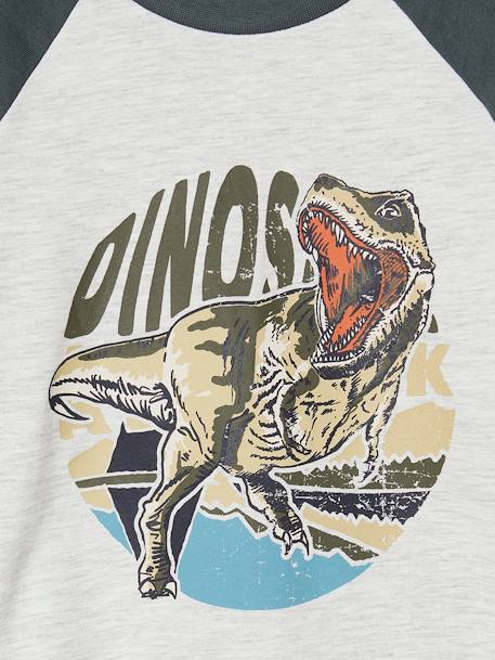 Oeko-Tex® grafisch jongens-T-shirt met raglanmouwen gemêleerd wit+kaki+korstmos+pecannoot - vertbaudet enfant 