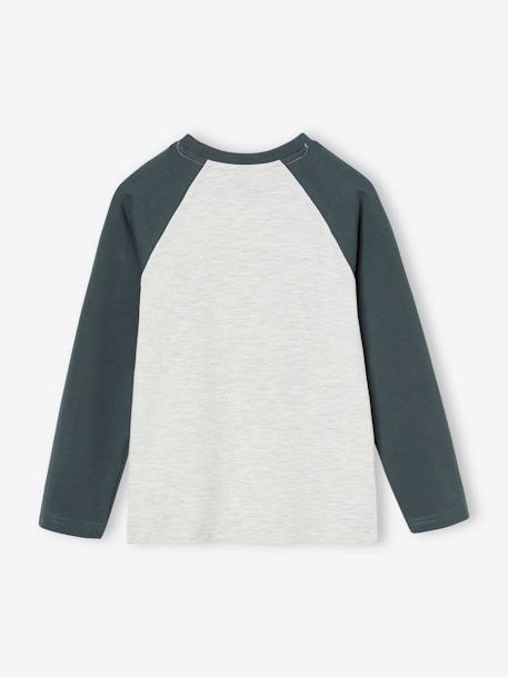 Oeko-Tex® grafisch jongens-T-shirt met raglanmouwen gemêleerd wit+kaki+korstmos+pecannoot - vertbaudet enfant 