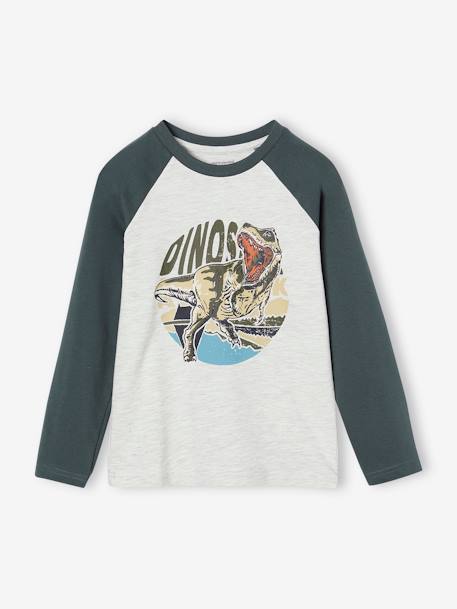 Oeko-Tex® grafisch jongens-T-shirt met raglanmouwen gemêleerd wit+kaki+korstmos+pecannoot - vertbaudet enfant 