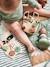 Set met 3 spelletjes GREEN FOREST van FSC®-hout Meerdere kleuren - vertbaudet enfant 