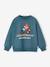 Jungen Sweatshirt SUPER MARIO groenblauw - vertbaudet enfant 