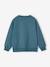 Jungen Sweatshirt SUPER MARIO groenblauw - vertbaudet enfant 