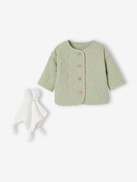 Babyset met gewatteerd jasje en knuffel saliegroen - vertbaudet enfant 