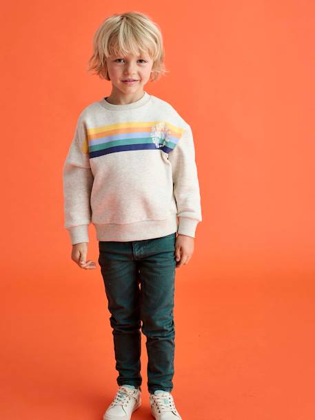Jongenssweater met ronde kraag met grafisch motief gemêleerd wit+grijsblauw - vertbaudet enfant 