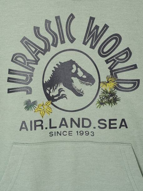 Jungen Kapuzensweatshirt JURASSIC WORLD korstmos - vertbaudet enfant 