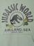 Jungen Kapuzensweatshirt JURASSIC WORLD korstmos - vertbaudet enfant 