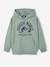 Jungen Kapuzensweatshirt JURASSIC WORLD korstmos - vertbaudet enfant 