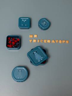 TRIXIE lunchbox met clip  - vertbaudet enfant