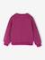 Basic meisjessweater met motief antraciet+donkerpaars+inktblauw+koraal+pioenroos+salie+vanille - vertbaudet enfant 