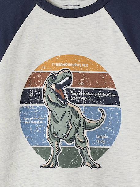 Oeko-Tex® grafisch jongens-T-shirt met raglanmouwen gemêleerd wit+kaki+korstmos+pecannoot - vertbaudet enfant 