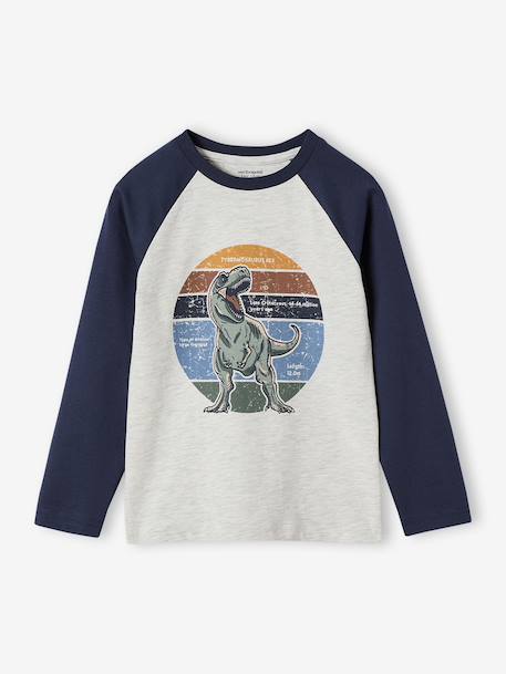 Oeko-Tex® grafisch jongens-T-shirt met raglanmouwen gemêleerd wit+kaki+korstmos+pecannoot - vertbaudet enfant 