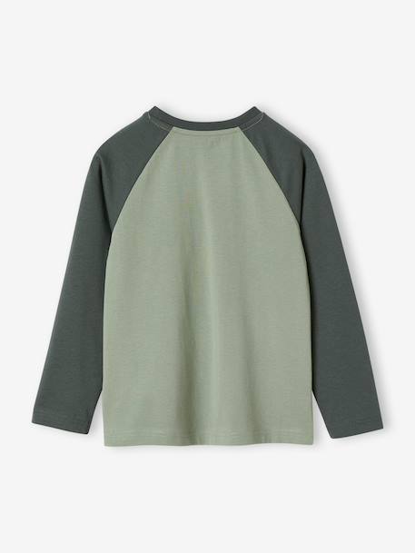 Oeko-Tex® grafisch jongens-T-shirt met raglanmouwen gemêleerd wit+kaki+korstmos+pecannoot - vertbaudet enfant 