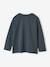Jongensshirt met grappig dierenmotief dennen+petrolblauw+wit - vertbaudet enfant 