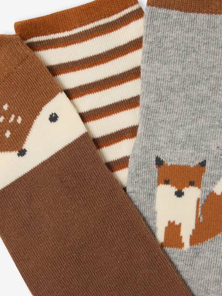 Set van 3 paar sokken « renard » baby jongen terracotta - vertbaudet enfant 
