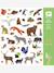 160 stickers Faune DJECO groen - vertbaudet enfant 