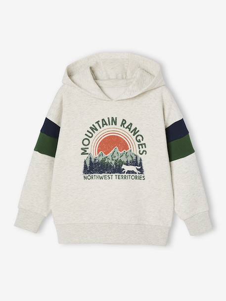 Sweater met capuchon met geplaatste print gemêleerd wit+marineblauw+pecannoot+saliegroen+wit - vertbaudet enfant 