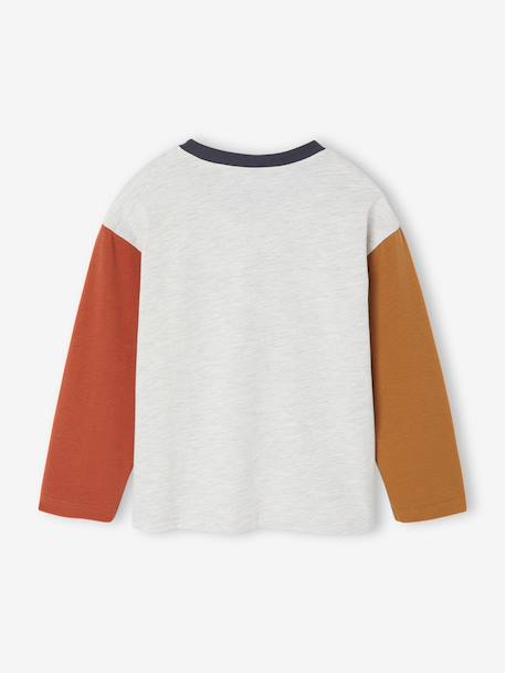 T-shirt met lange mouwen en colourblock voor jongens meerkleurig - vertbaudet enfant 
