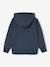 Sweater met capuchon met skateprint antraciet - vertbaudet enfant 