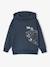Sweater met capuchon met skateprint antraciet - vertbaudet enfant 